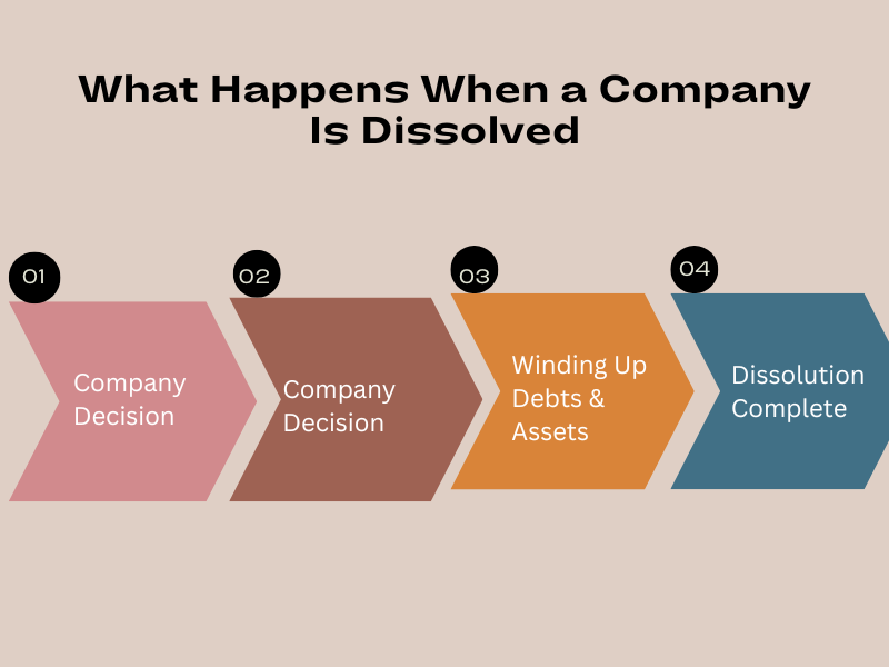 Flowchart illustration showing the dissolution process and asking Can Debt Collectors Come After a Company That's Dissolved